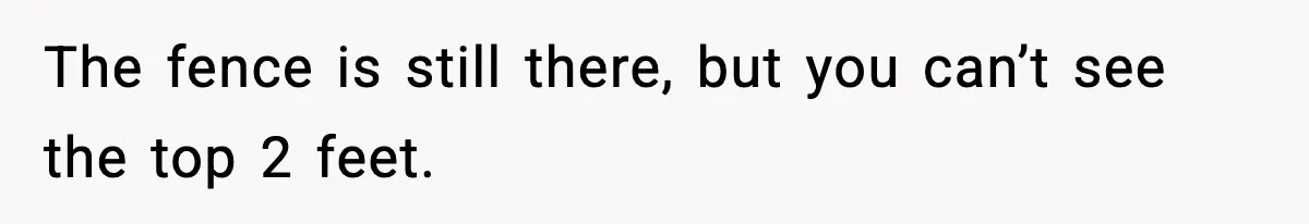 The fence is still there, but you can’t see the top 2 feet.
