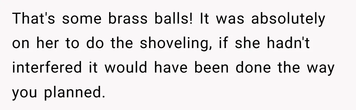 That's some brass balls! It was absolutely on her to do the shoveling, if she hadn't interfered it would have been done the way you planned.