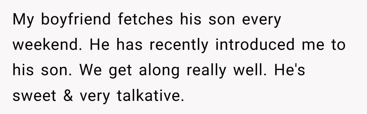 My boyfriend fetches his son every weekend. He has recently introduced me to his son. We get along really well. He's sweet & very talkative.