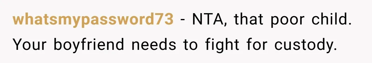 whatsmypassword73 − NTA, that poor child. Your boyfriend needs to fight for custody.