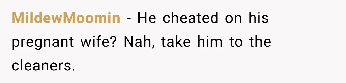 MildewMoomin − He cheated on his pregnant wife? Nah, take him to the cleaners.