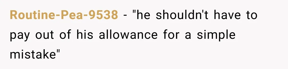 Routine-Pea-9538 − "he shouldn't have to pay out of his allowance for a simple mistake"