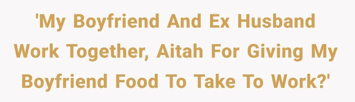 'My boyfriend and ex husband work together, AITAH for giving my boyfriend food to take to work?'