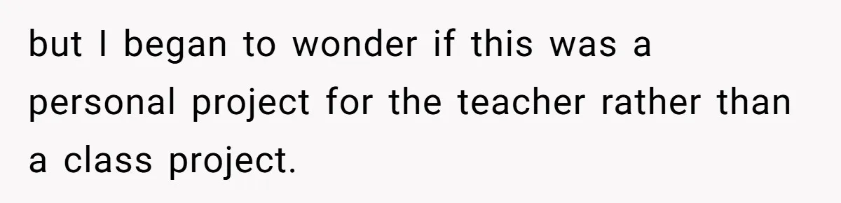 but I began to wonder if this was a personal project for the teacher rather than a class project.