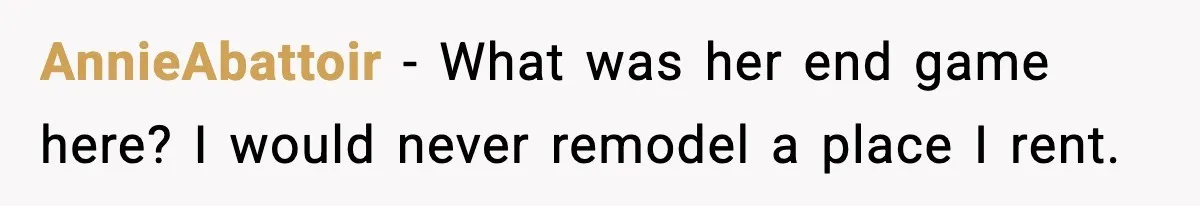 AnnieAbattoir - What was her end game here? I would never remodel a place I rent.