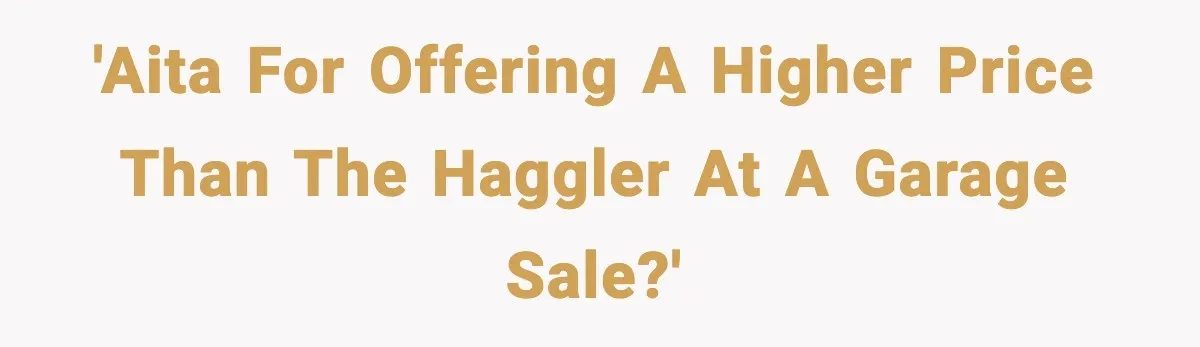 'AITA for offering a higher price than the haggler at a garage sale?'