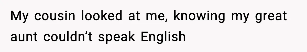 My cousin looked at me, knowing my great aunt couldn’t speak English