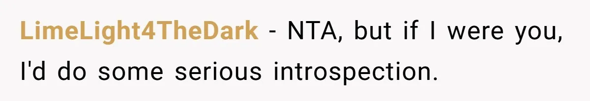 LimeLight4TheDark − NTA, but if I were you, I'd do some serious introspection.