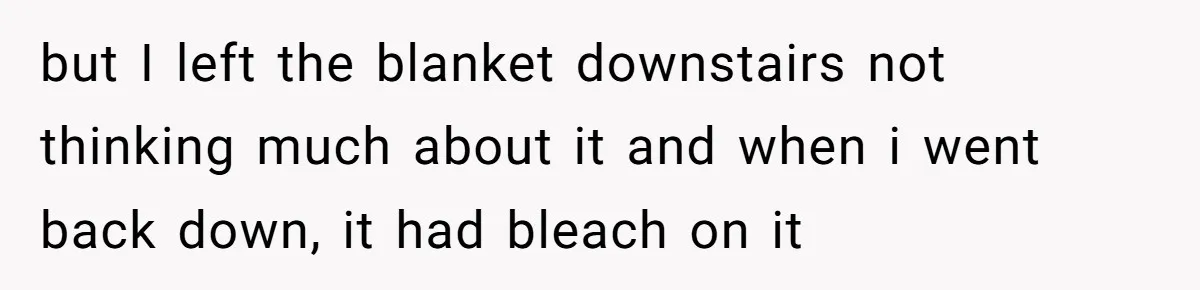 but I left the blanket downstairs not thinking much about it and when i went back down, it had bleach on it