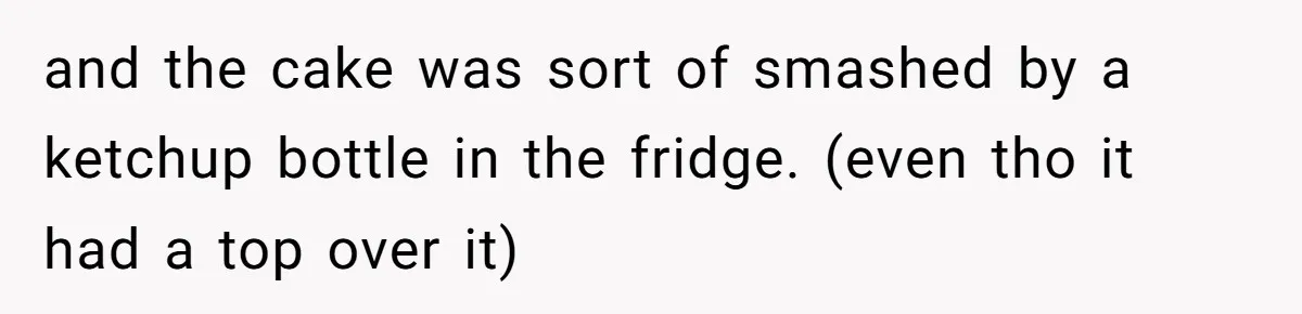 and the cake was sort of smashed by a ketchup bottle in the fridge. (even tho it had a top over it)