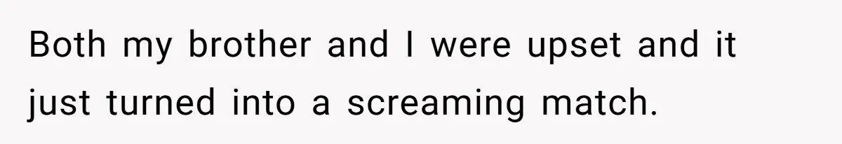 Both my brother and I were upset and it just turned into a screaming match.