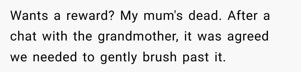 Wants a reward? My mum's dead. After a chat with the grandmother, it was agreed we needed to gently brush past it.