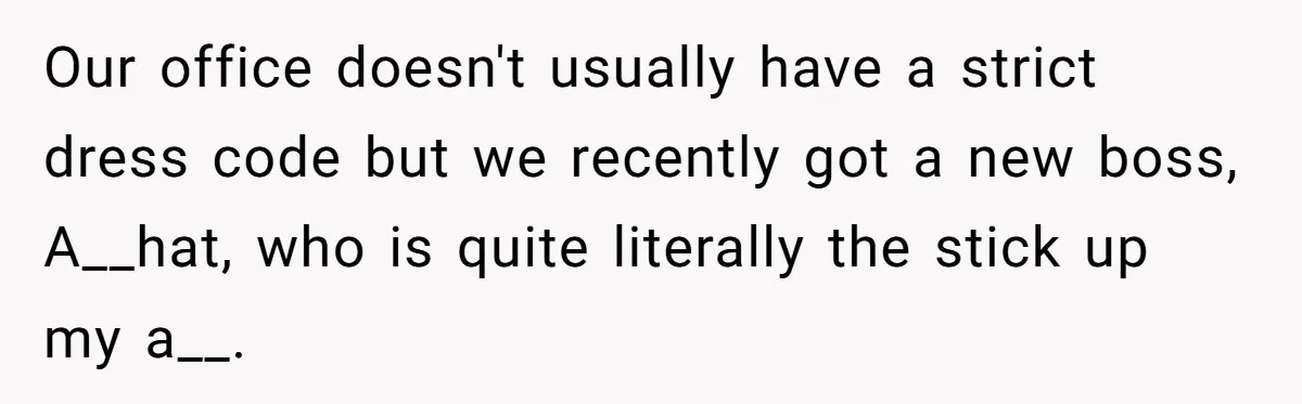 Our office doesn't usually have a strict dress code but we recently got a new boss, A__hat, who is quite literally the stick up my a__.