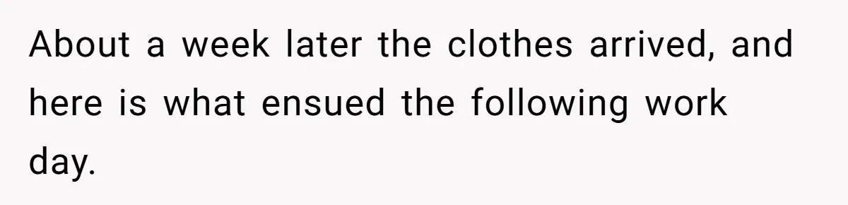 About a week later the clothes arrived, and here is what ensued the following work day.