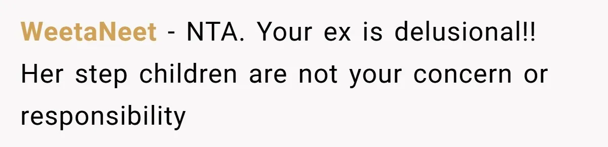 WeetaNeet − NTA. Your ex is delusional!! Her step children are not your concern or responsibility