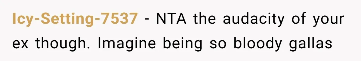 Icy-Setting-7537 − NTA the audacity of your ex though. Imagine being so bloody gallas