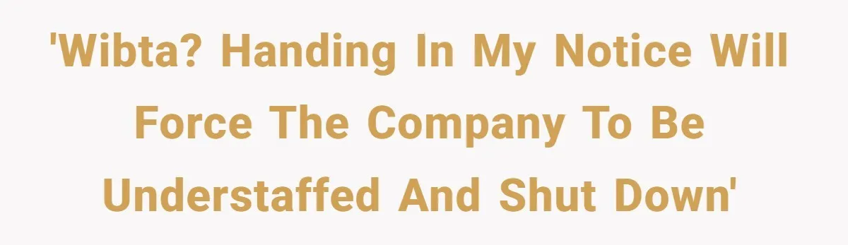 'WIBTA? Handing in my notice will force the company to be understaffed and shut down'