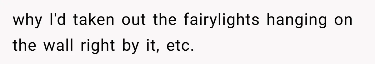 why I'd taken out the fairylights hanging on the wall right by it, etc.