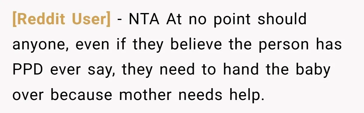 [Reddit User] − NTA At no point should anyone, even if they believe the person has PPD ever say, they need to hand the baby over because mother needs help.
