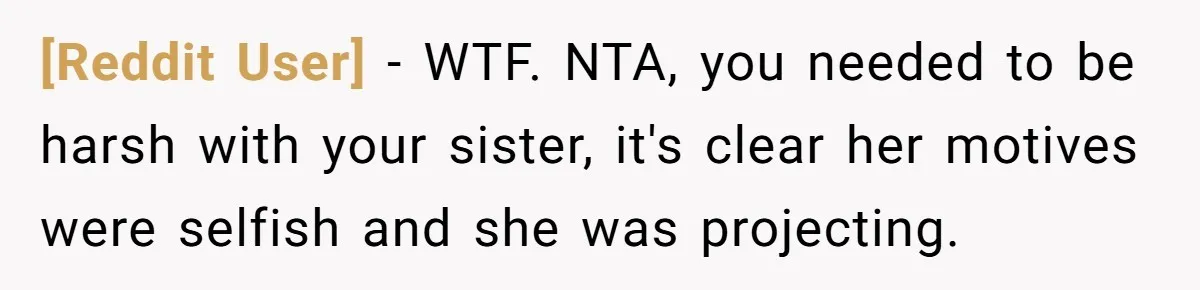 [Reddit User] − WTF. NTA, you needed to be harsh with your sister, it's clear her motives were selfish and she was projecting.