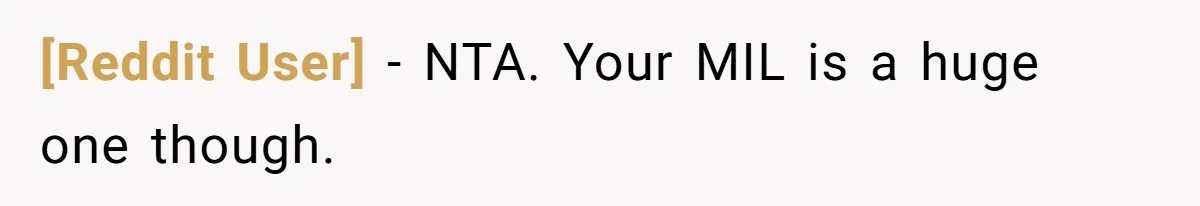 [Reddit User] − NTA. Your MIL is a huge one though.