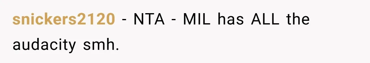 snickers2120 − NTA - MIL has ALL the audacity smh.