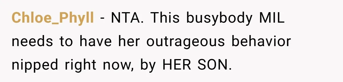 Chloe_Phyll − NTA. This busybody MIL needs to have her outrageous behavior nipped right now, by HER SON.