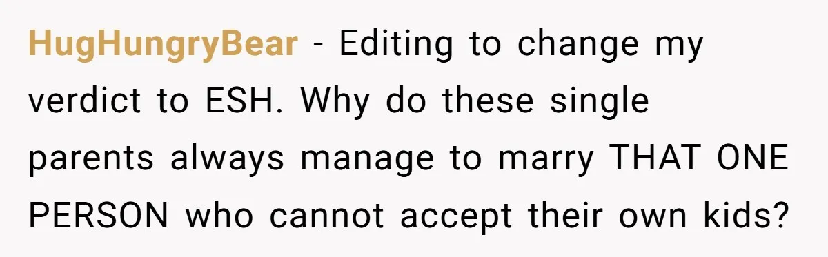 HugHungryBear − Editing to change my verdict to ESH. Why do these single parents always manage to marry THAT ONE PERSON who cannot accept their own kids?