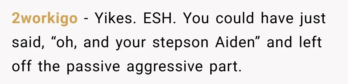 2workigo − Yikes. ESH. You could have just said, “oh, and your stepson Aiden” and left off the passive aggressive part.