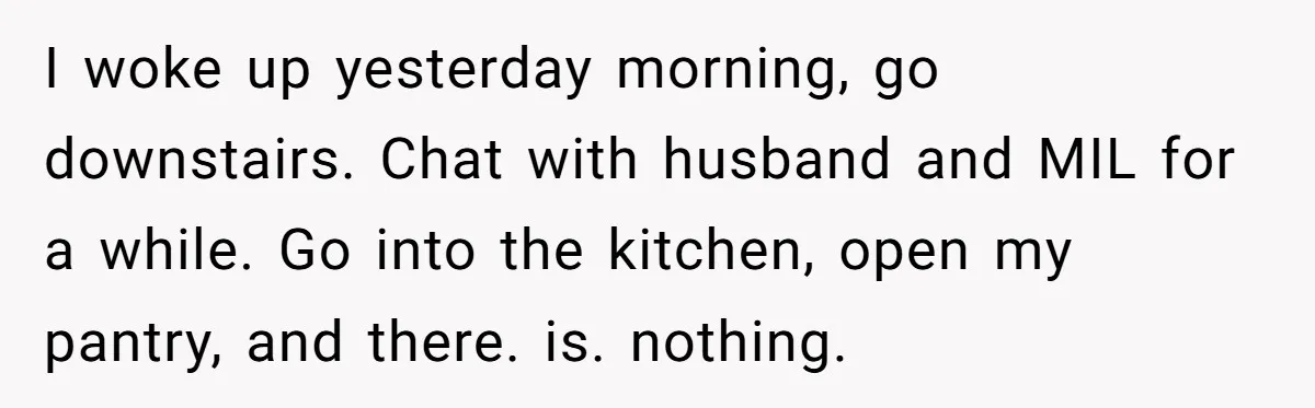 I woke up yesterday morning, go downstairs. Chat with husband and MIL for a while. Go into the kitchen, open my pantry, and there. is. nothing.