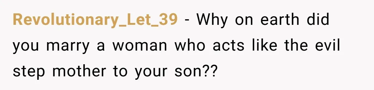 Revolutionary_Let_39 − Why on earth did you marry a woman who acts like the evil step mother to your son??