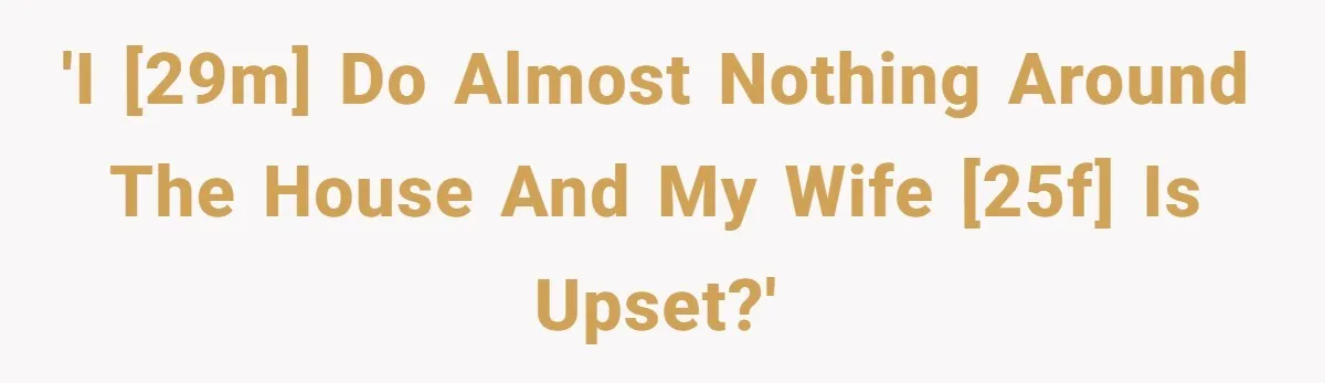 'I [29M] Do Almost Nothing Around the House and My Wife [25F] is Upset?'