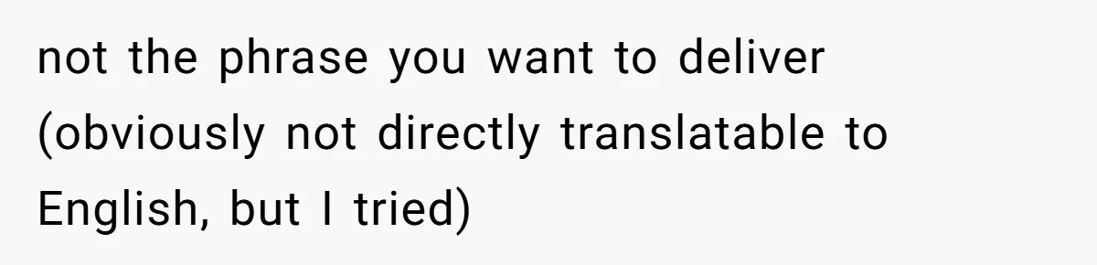 not the phrase you want to deliver (obviously not directly translatable to English, but I tried)