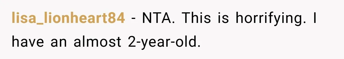 lisa_lionheart84 − NTA. This is horrifying. I have an almost 2-year-old.