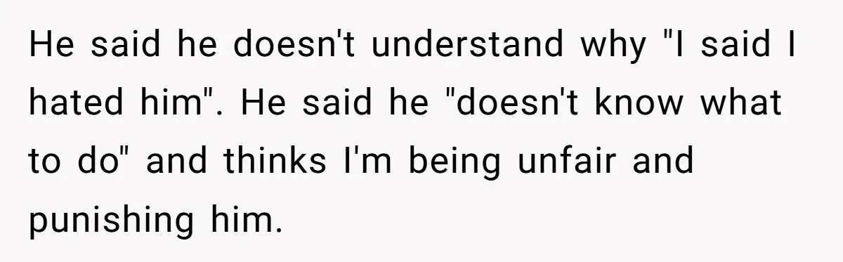 He said he doesn't understand why "I said I hated him". He said he "doesn't know what to do" and thinks I'm being unfair and punishing him.