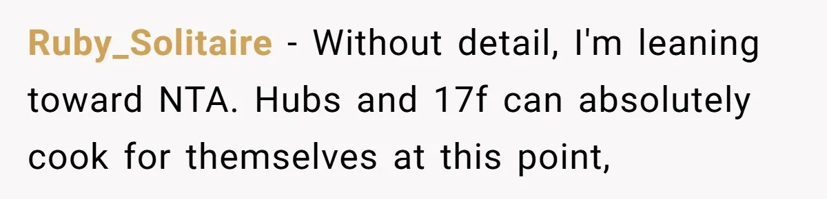 Ruby_Solitaire − Without detail, I'm leaning toward NTA. Hubs and 17f can absolutely cook for themselves at this point,