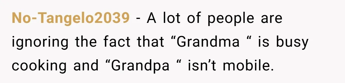 No-Tangelo2039 − A lot of people are ignoring the fact that “Grandma “ is busy cooking and “Grandpa “ isn’t mobile.