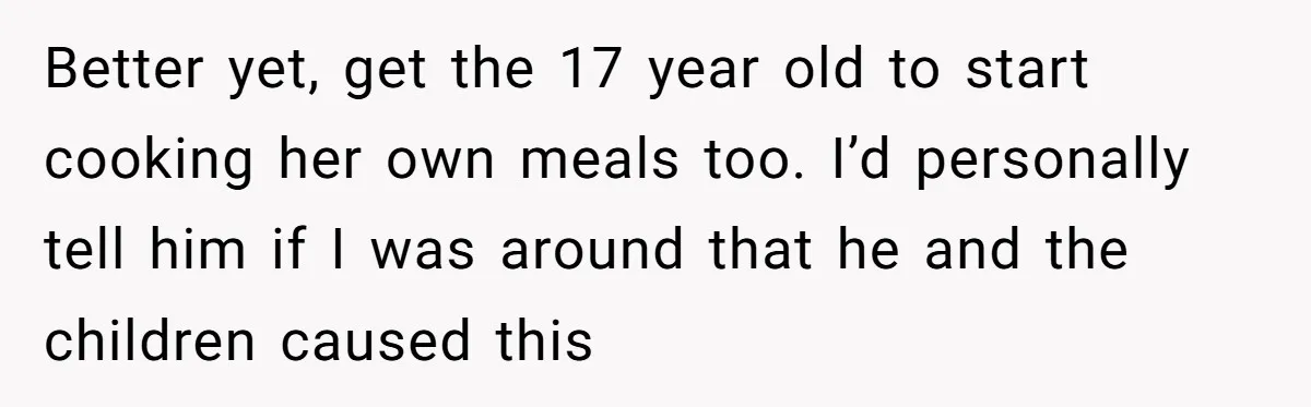 Better yet, get the 17 year old to start cooking her own meals too. I’d personally tell him if I was around that he and the children caused this