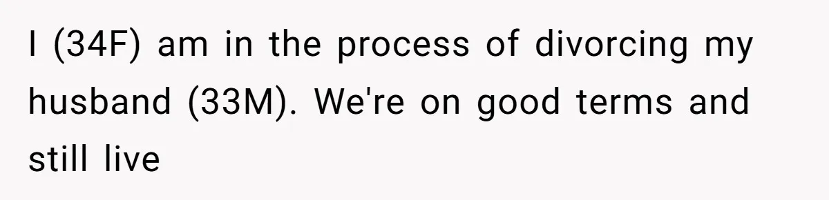 I (34F) am in the process of divorcing my husband (33M). We're on good terms and still live