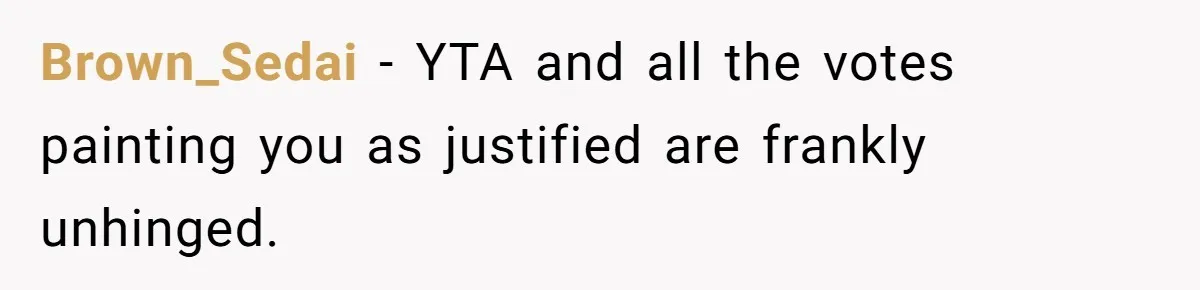 Brown_Sedai − YTA and all the votes painting you as justified are frankly unhinged.