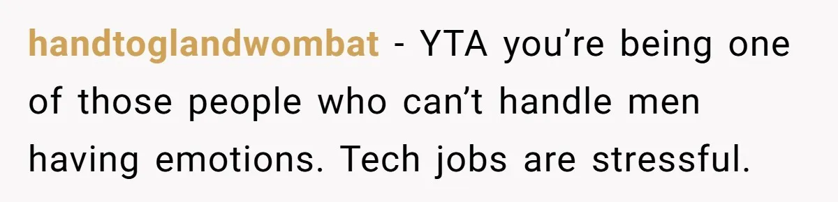 handtoglandwombat − YTA you’re being one of those people who can’t handle men having emotions. Tech jobs are stressful.