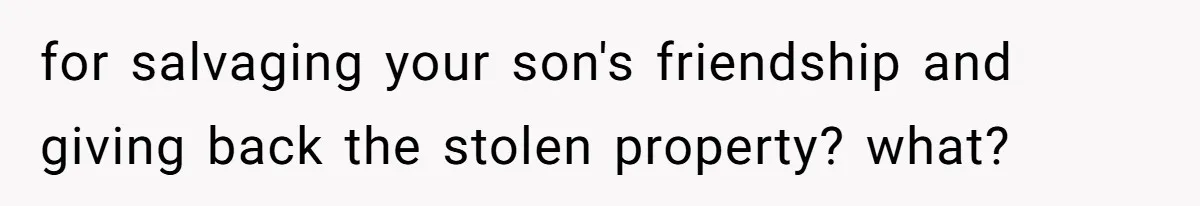 for salvaging your son's friendship and giving back the stolen property? what?