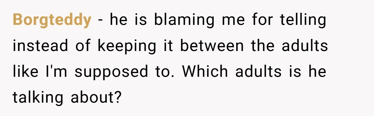 Borgteddy − he is blaming me for telling instead of keeping it between the adults like I'm supposed to. Which adults is he talking about?