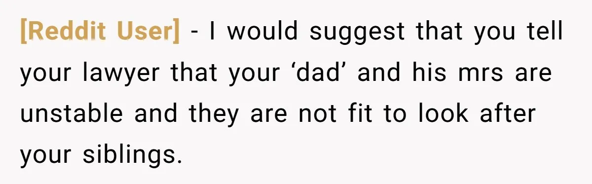 [Reddit User] − I would suggest that you tell your lawyer that your ‘dad’ and his mrs are unstable and they are not fit to look after your siblings.