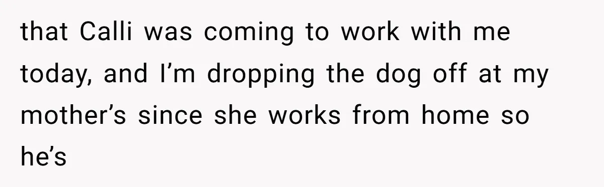 that Calli was coming to work with me today, and I’m dropping the dog off at my mother’s since she works from home so he’s