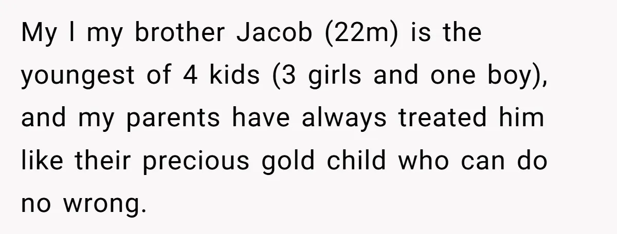 My l my brother Jacob (22m) is the youngest of 4 kids (3 girls and one boy), and my parents have always treated him like their precious gold child who...