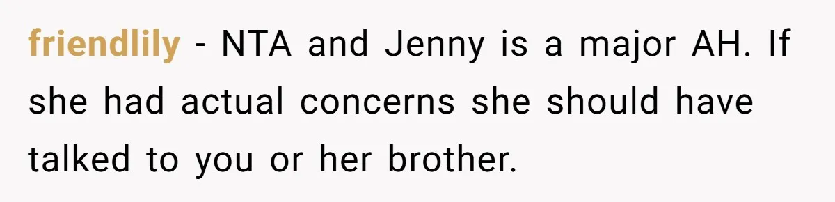 friendlily − NTA and Jenny is a major AH. If she had actual concerns she should have talked to you or her brother.