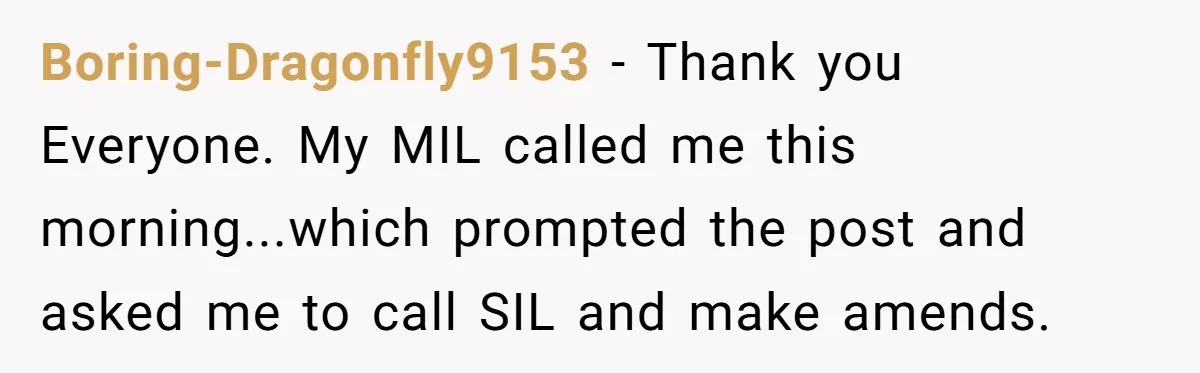 Boring-Dragonfly9153 − Thank you Everyone. My MIL called me this morning...which prompted the post and asked me to call SIL and make amends.