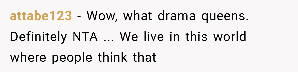 attabe123 − Wow, what drama queens. Definitely NTA ... We live in this world where people think that