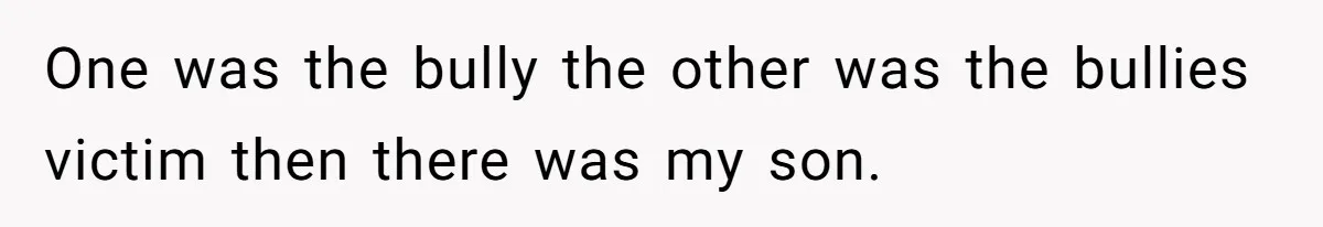 One was the bully the other was the bullies victim then there was my son.